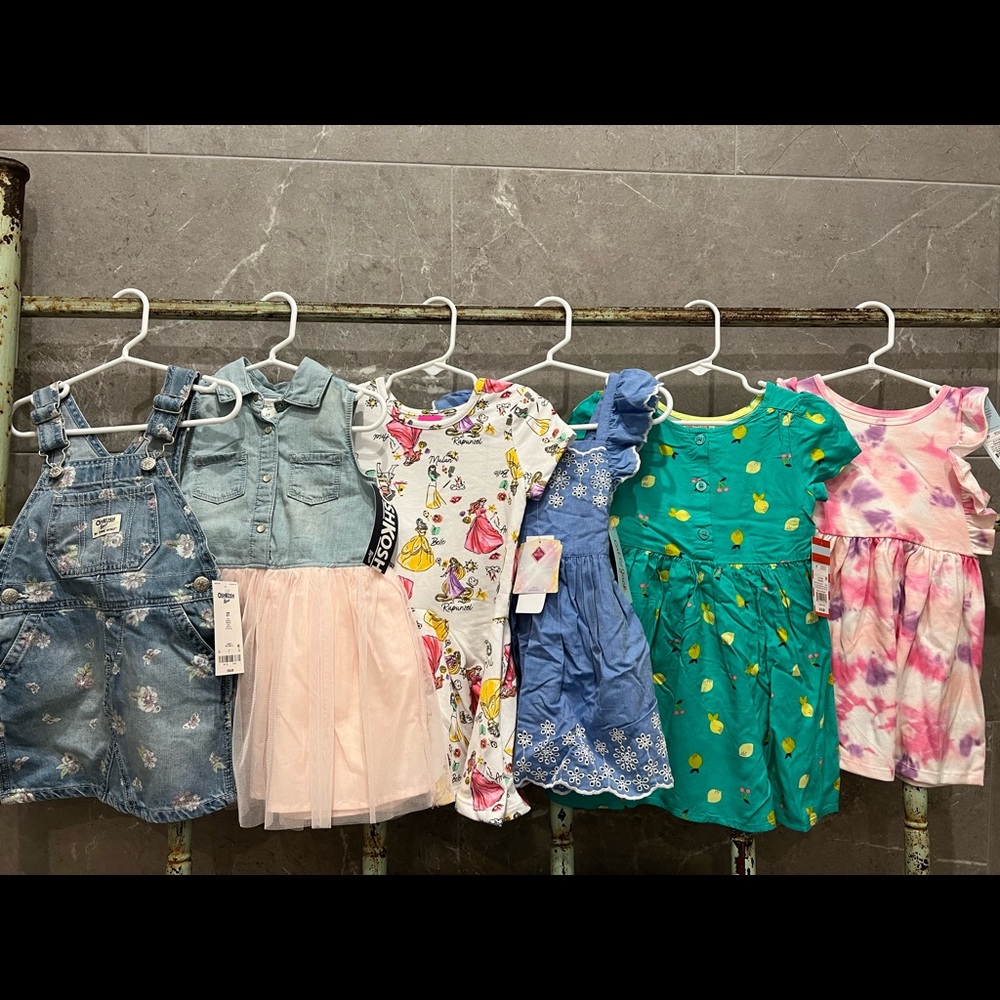 Girls 2T Dresses NEW